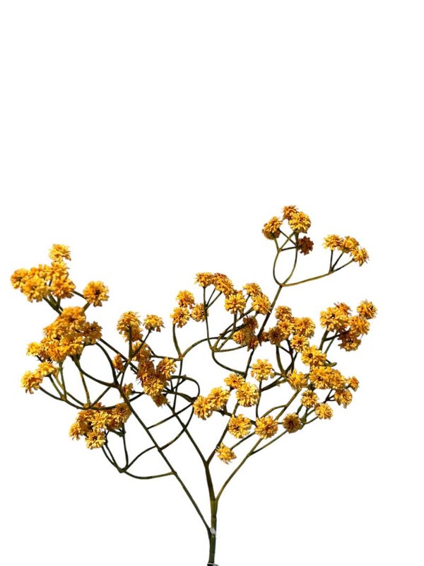 Zijdenbloem | Kunstbloem | Gipskruid | Geel | 61cm