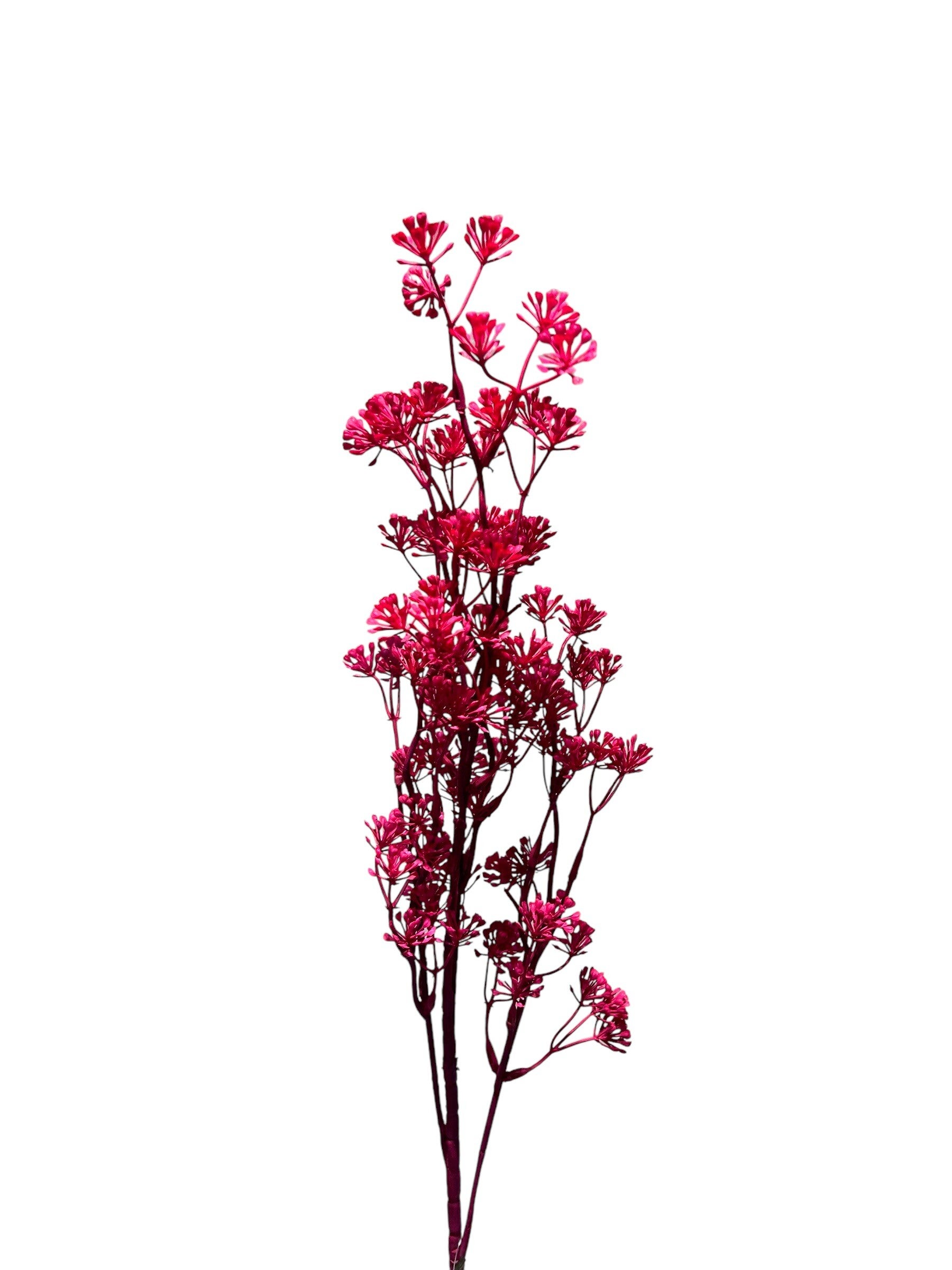 Zijdenbloem | Kunstbloem | Kunsttak | Dille | Anethum | Fuchsia | Colmore | 88cm
