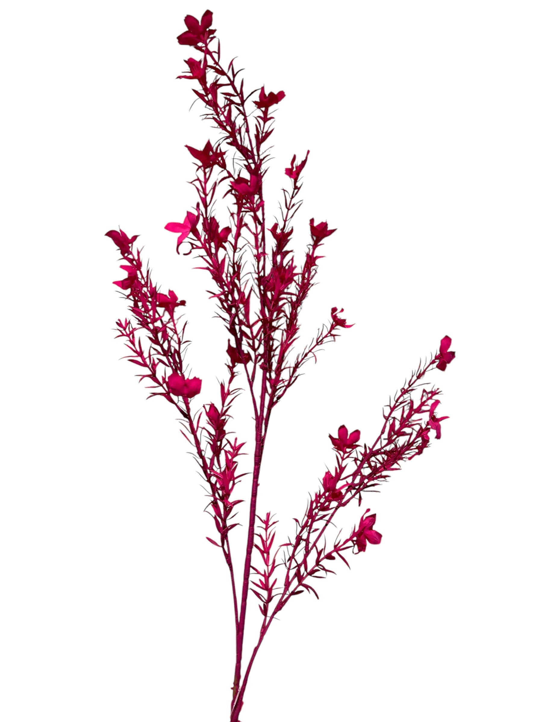 Zijdenbloem | Kunstbloem | Kunsttak | Catharantus | Fuchsia | Colmore | 100cm