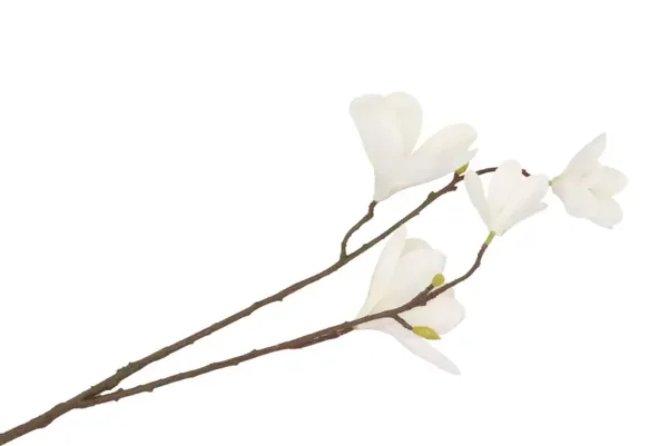 Zijdenbloem | Magnolia | Wit | 87cm