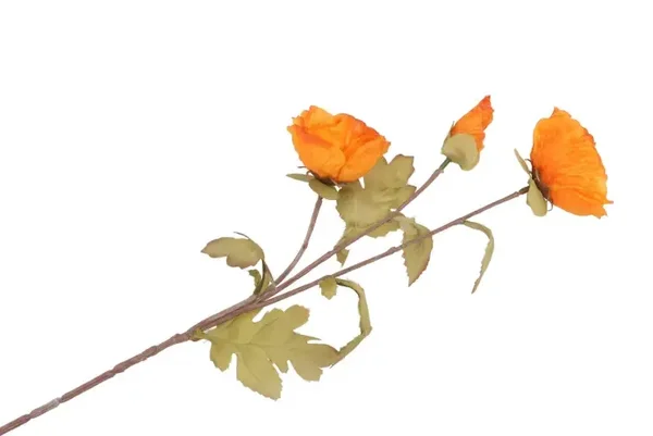 Zijdenbloem | Papaver | Oranje | 76cm