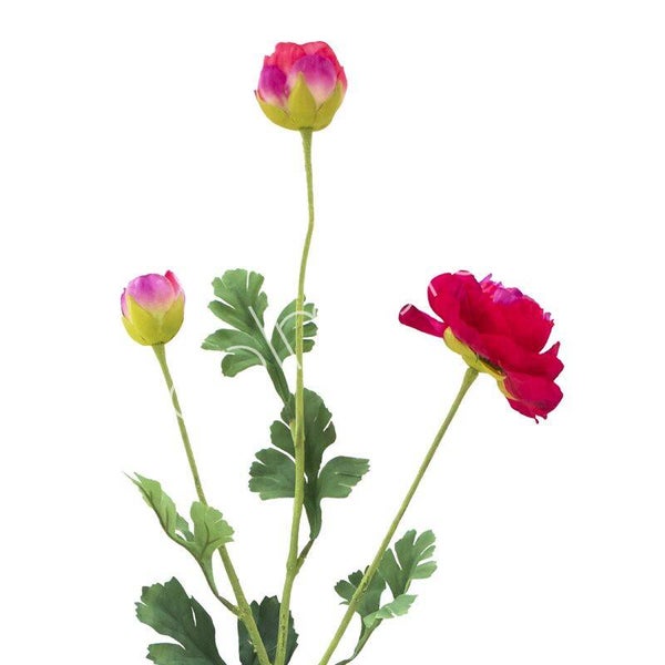 Zijdenbloem | Kunstbloem | Ranonkel | Rood | Roze | Colmore | 91cm