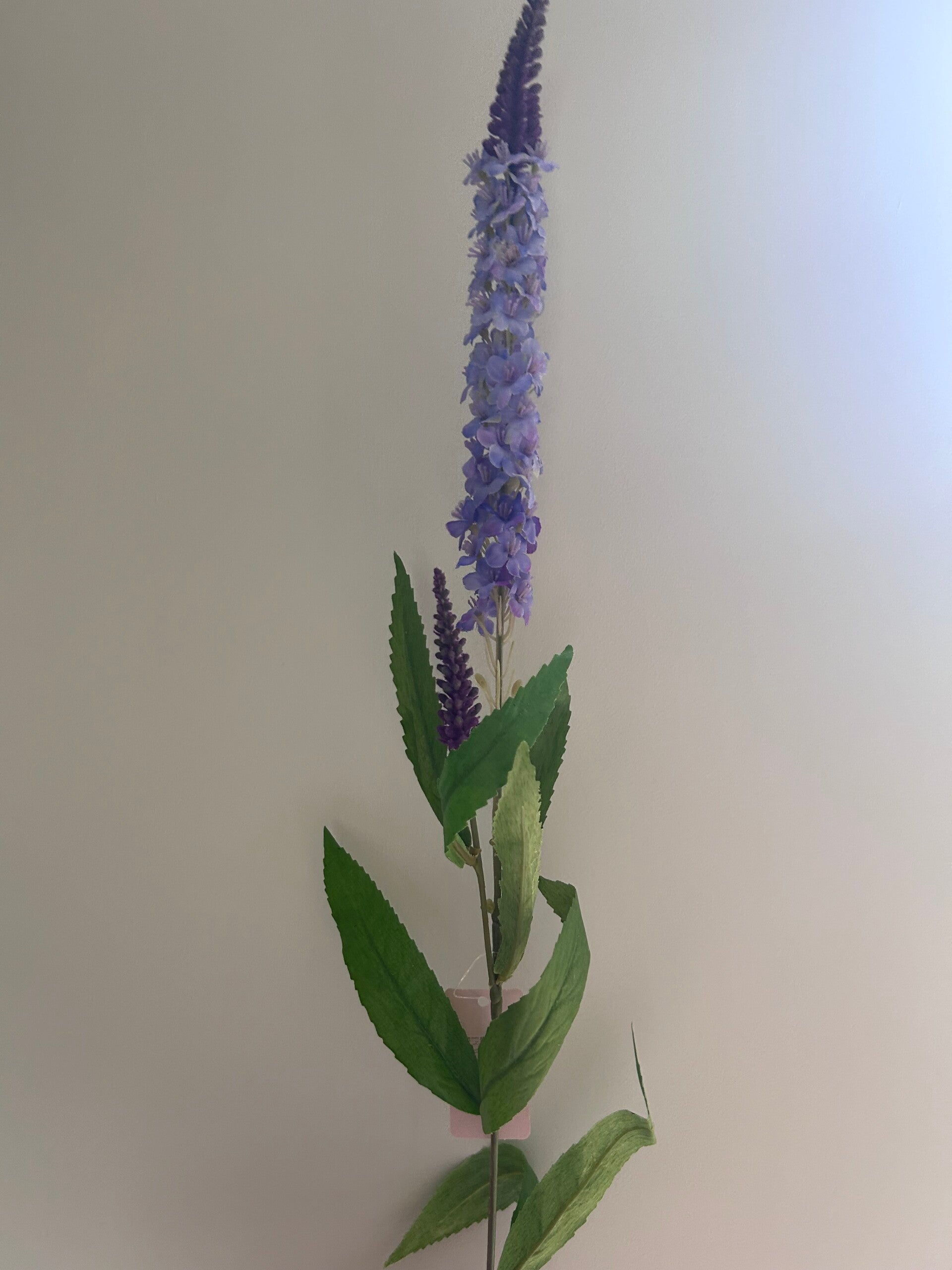 Zijdenbloem | Veronica | Paars | 75cm