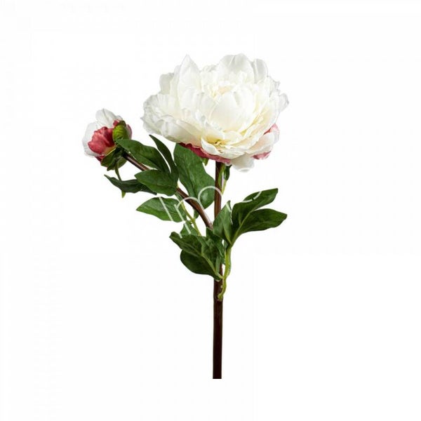 Zijdenbloem Colmore witte pioenroos (54cm)