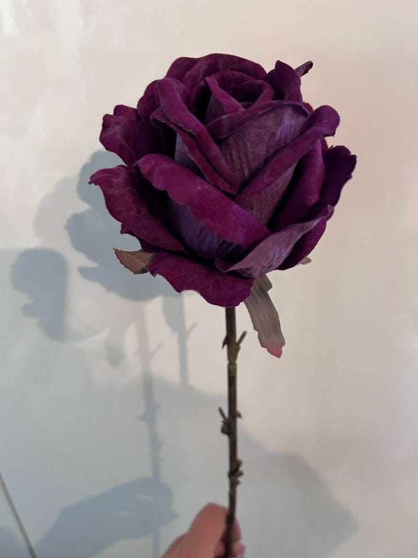 Zijdenbloem Colmore paarse roos (deeppurple) velvet (75cm)