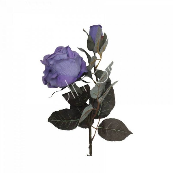Zijdenbloem Colmore paarse roos open en dicht (75cm)