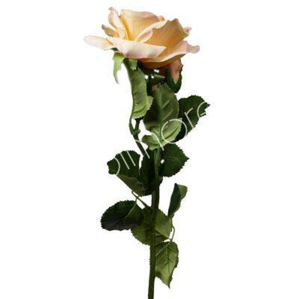 Zijdenbloem Colmore roos peach (52cm)