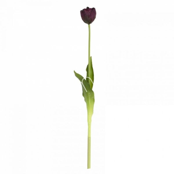 Zijdenbloem Colmore paarse tulp (56cm)