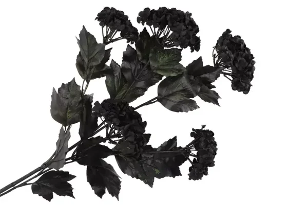 Zijdenbloem zwarte viburnum (87cm)