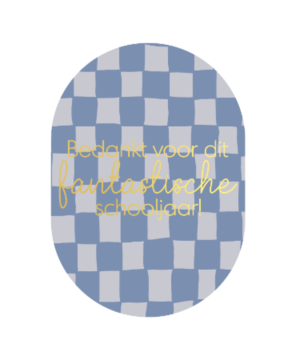 ansichtkaart bedankt voor dit fantastische schooljaar geblokt blauw