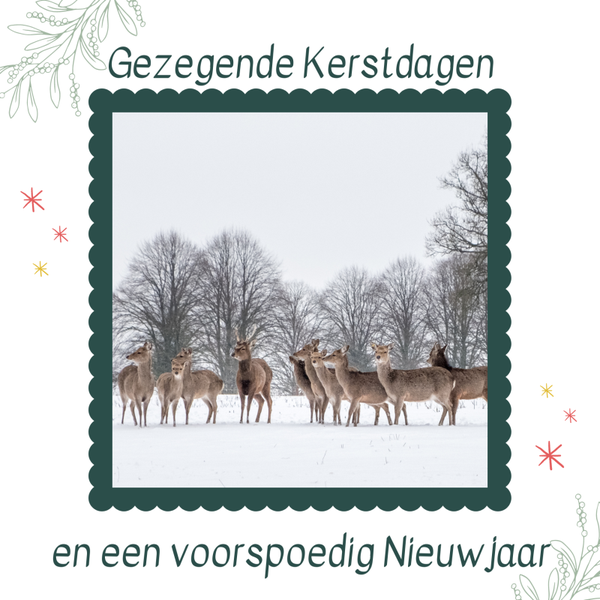 Sale kerst Gezegende Kerstdagen hertjes in de sneeuw