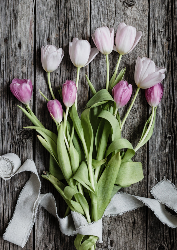 ansichtkaart tulpen op tafel liggend