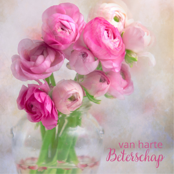 wenskaart van harte beterschap roze ranonkels in vaas COMING SOON
