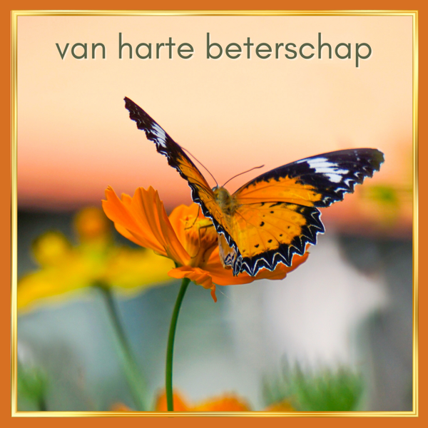 wenskaart van harte beterschap oranje vlinder COMING SOON