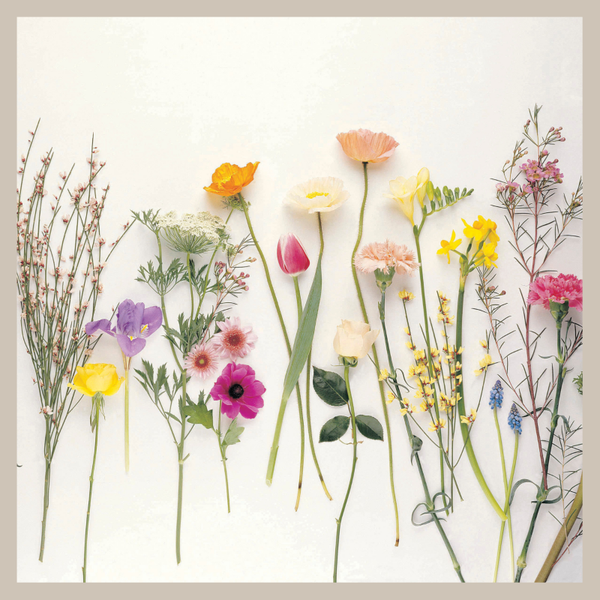 wenskaart bloemen liggend met rand COMING SOON