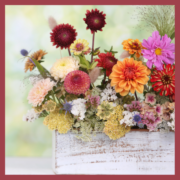 wenskaart bloemen met donkerrode rand COMING SOON