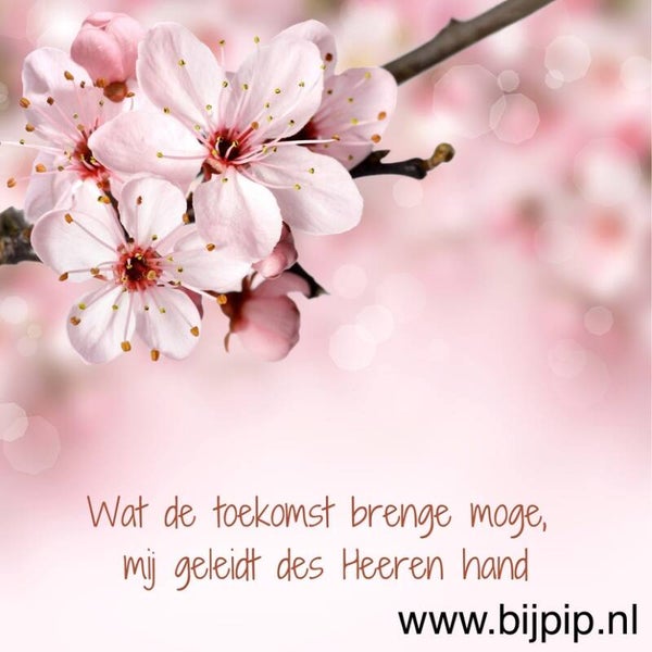 Wenskaart Wat de toekomst brenge moge