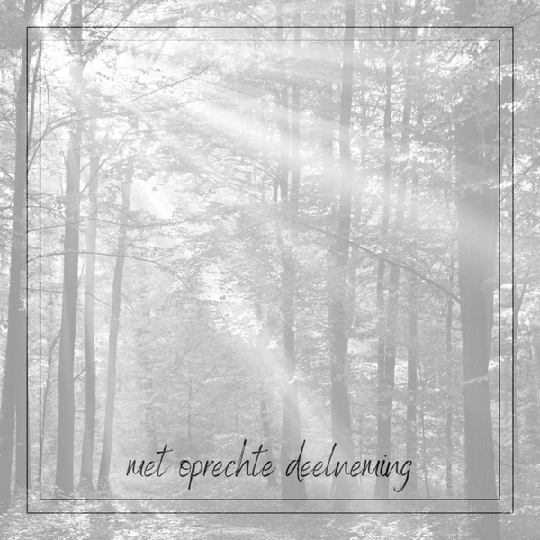 wenskaart deelneming bomen met zonnestralen COMING SOON