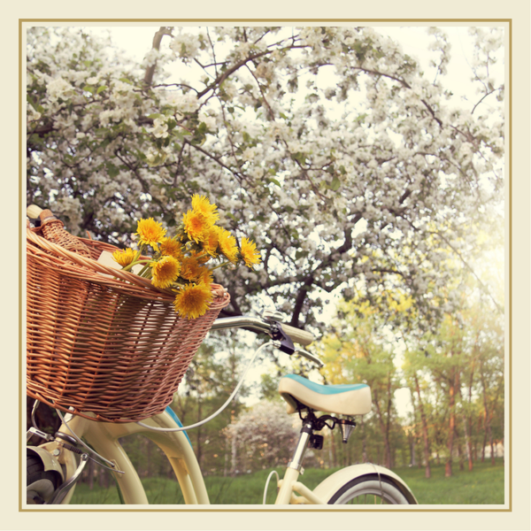 Wenskaart fiets met bloemen