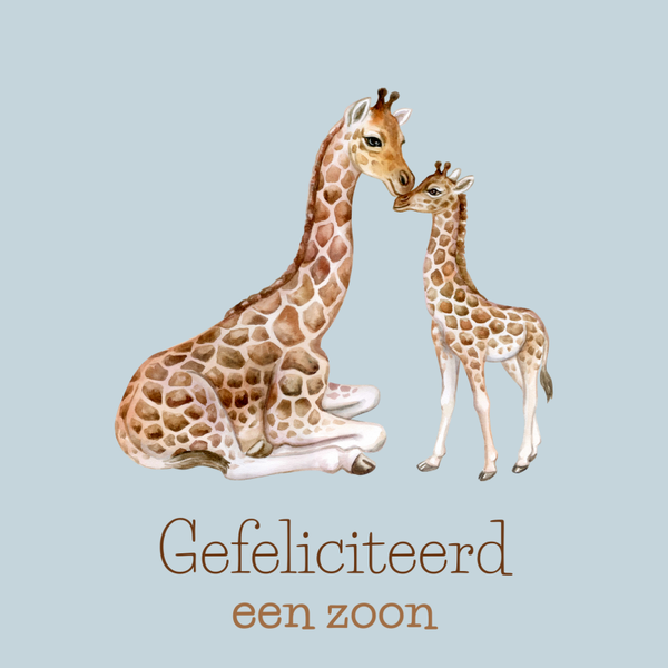 wenskaart gefeliciteerd een zoon giraffes COMING SOON