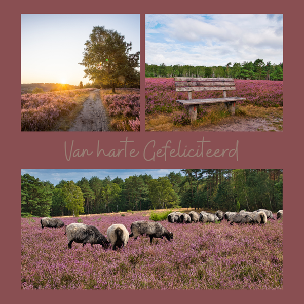 wenskaart Hartelijk Gefeliciteerd heide COMING SOON