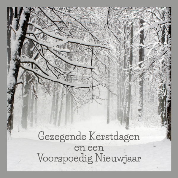 kerst wenskaart GEZEGENDE KERSTDAGEN besneeuwd bos COMING SOON