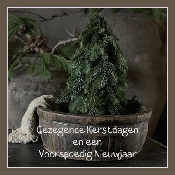 kerst wenskaart GEZEGENDE KERSTDAGEN boompje in bak COMING SOON