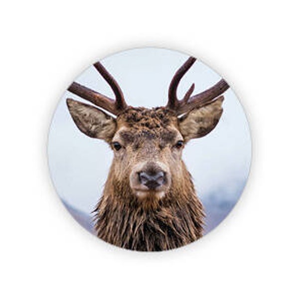 Sticker hertenkop 35mm