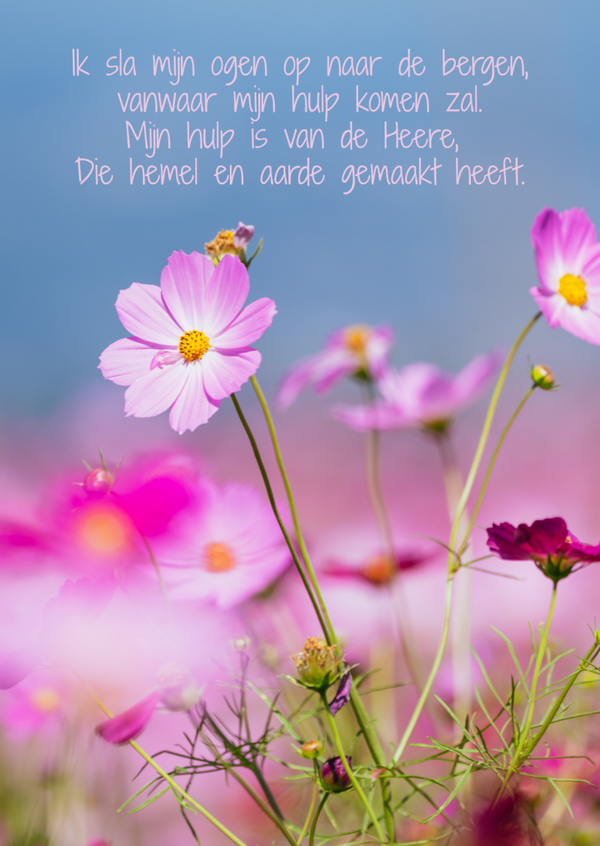 ansichtkaart ik sla mijn ogen BINNENKORT VERKRIJGBAAR