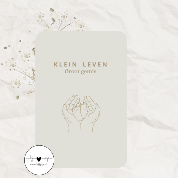 Ansichtkaart Klein leven