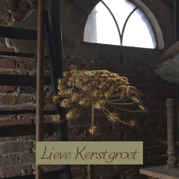 Sale kerst Lieve Kerstgroet 5