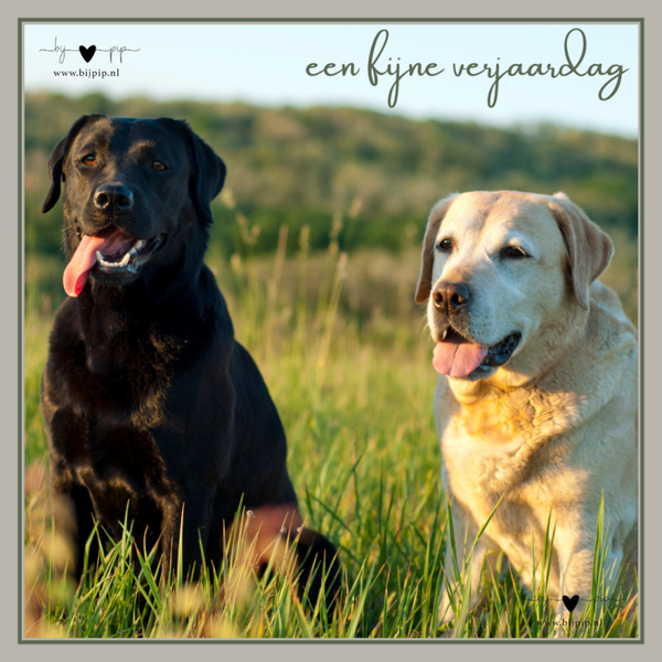 wenskaart een fijne verjaardag honden