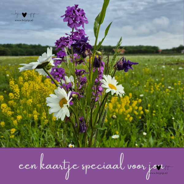 sale wenskaart een kaartje speciaal voor jou bosje bloemen