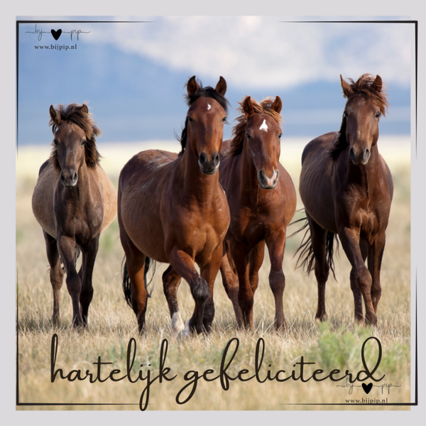 wenskaart hartelijk gefeliciteerd paarden