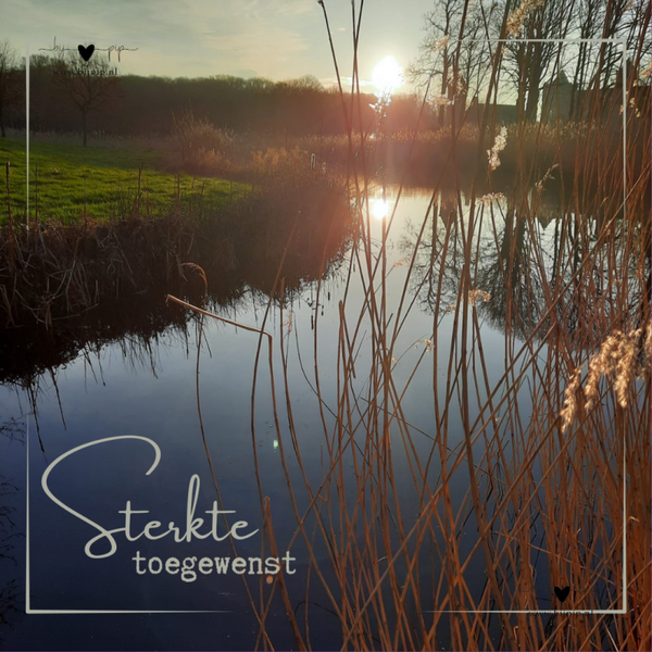 sale wenskaart sterkte toegewenst westhove