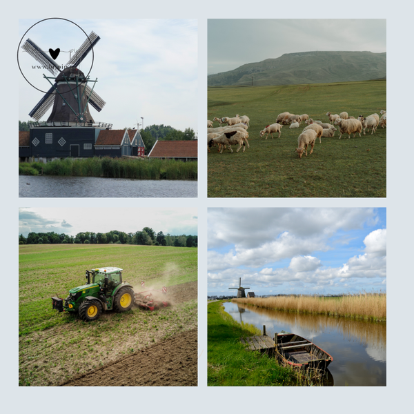wenskaart collage molen trekker