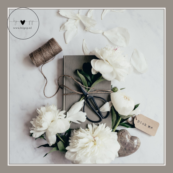 wenskaart pioenrozen wit met touw