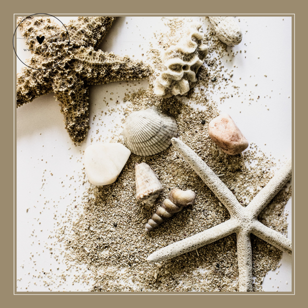 wenskaart zeesterren