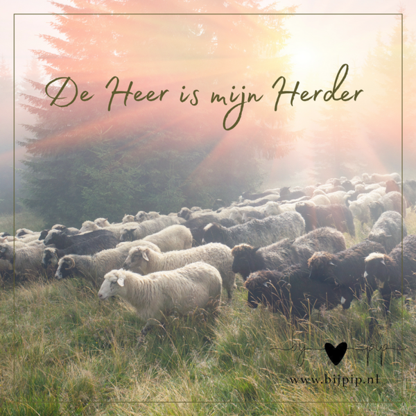 Wenskaart de heer is mijn herder schapen