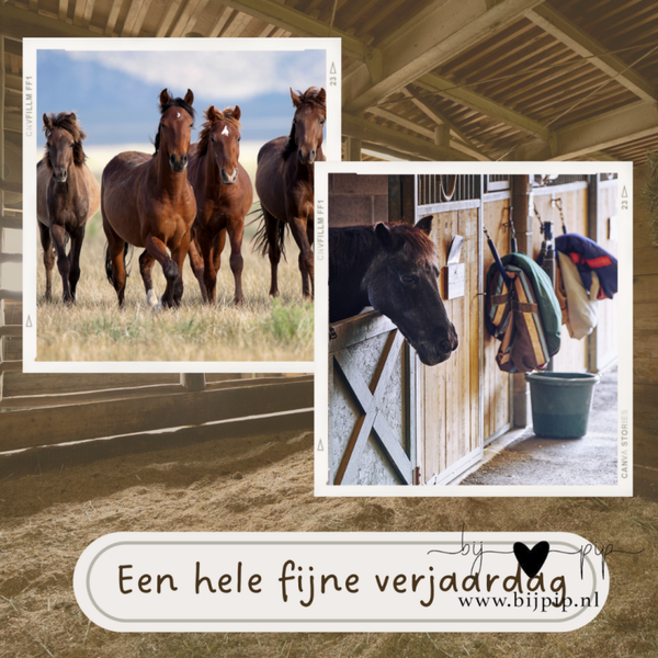 sale Wenskaart Een hele fijne verjaardag paarden
