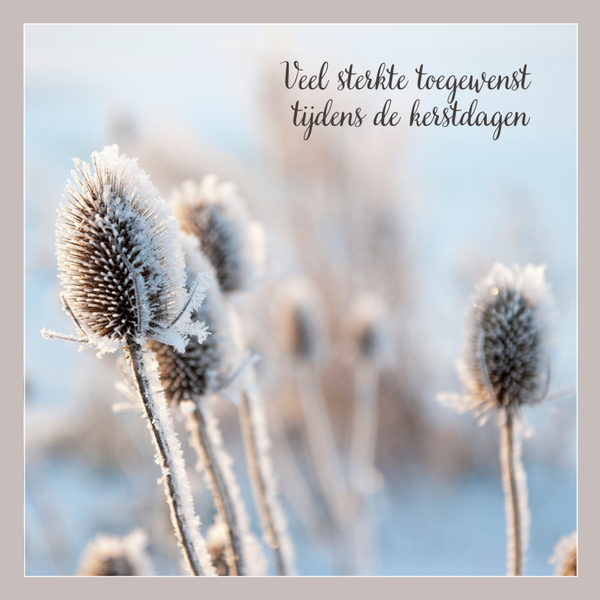 kerst wenskaart sterkte kerstdagen takjes