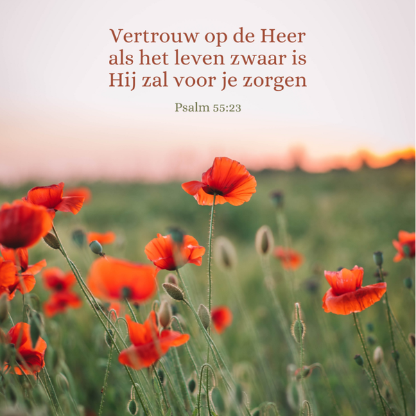 wenskaart Vertrouw op de Heere COMING SOON