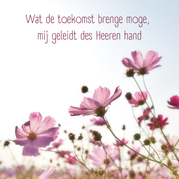 Wenskaart Wat de toekomst brenge moge