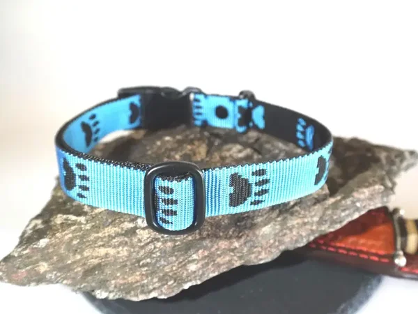 Hundehalsband aus Gurtgewebe /Längenverstellbar und robust