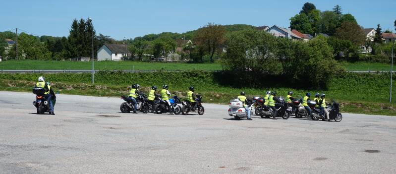 Les marmottes matin de rando