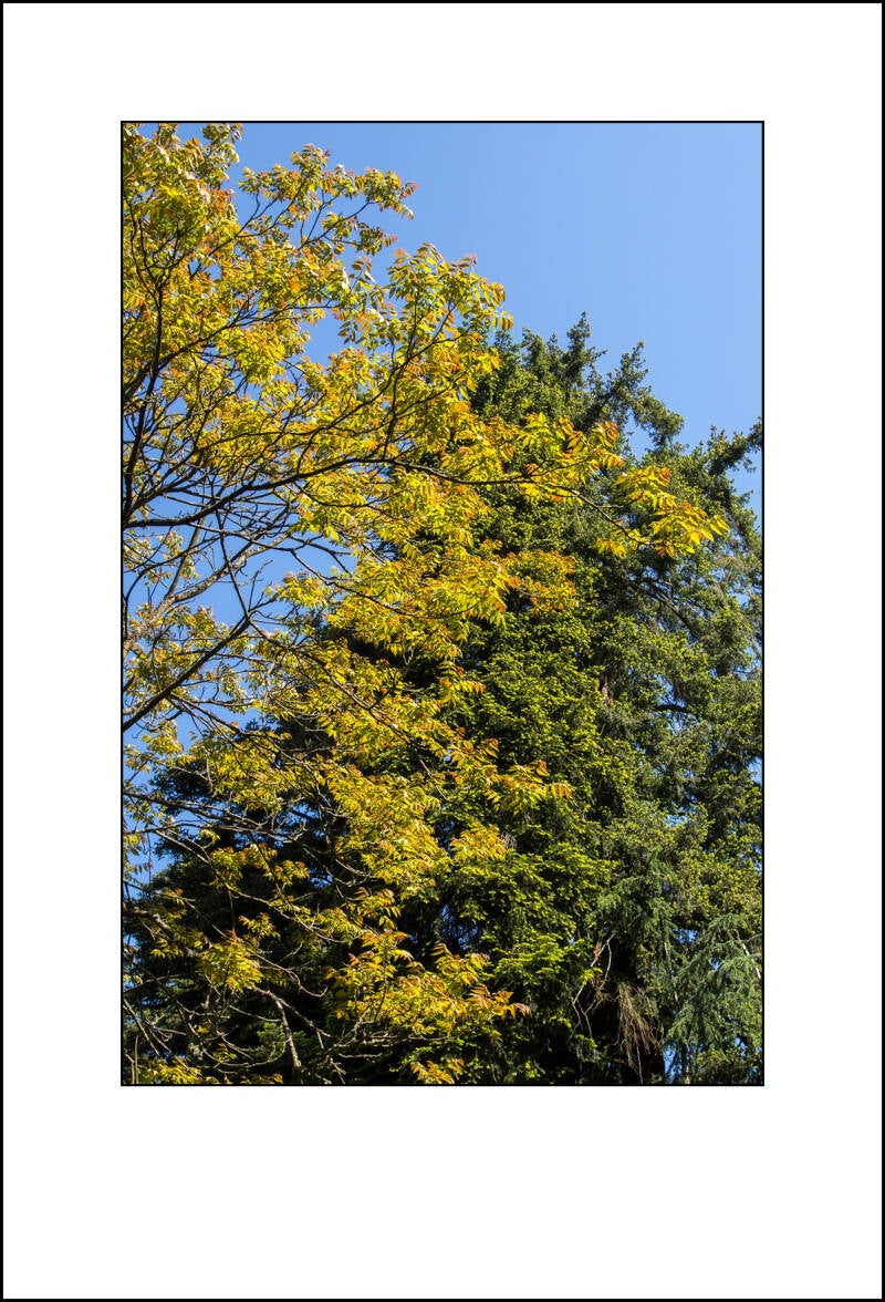 0e060879f-standard.jpg