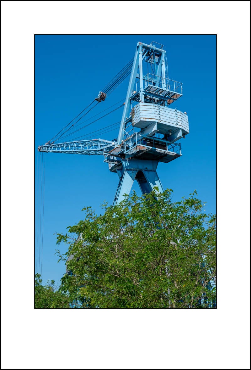 2021f-standard.jpg