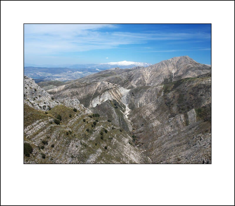 bearbeitet-5f_2-standard.jpg
