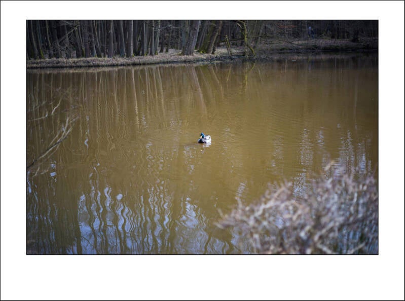 dsc01284f-standard.jpg