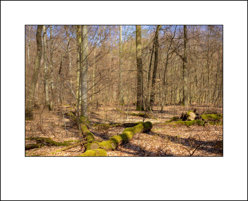 dsc01393f-standard.jpg